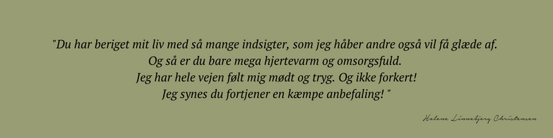 udtalelse fra Helene Christensen