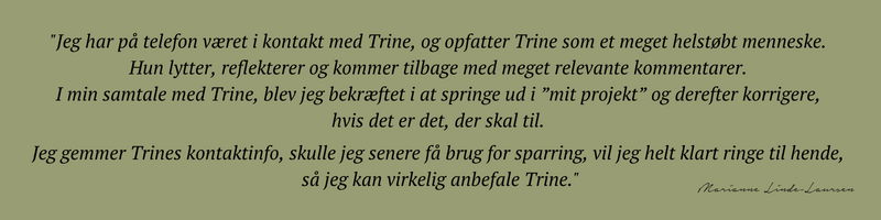 udtalelse fra Marianne Linde-Laursen